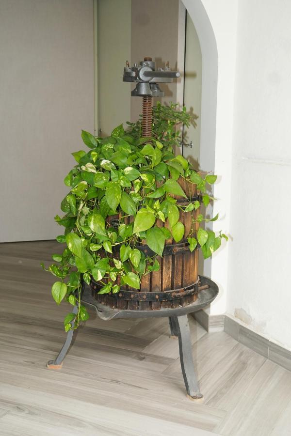 Il Glicine Hotell Sorrento Exteriör bild