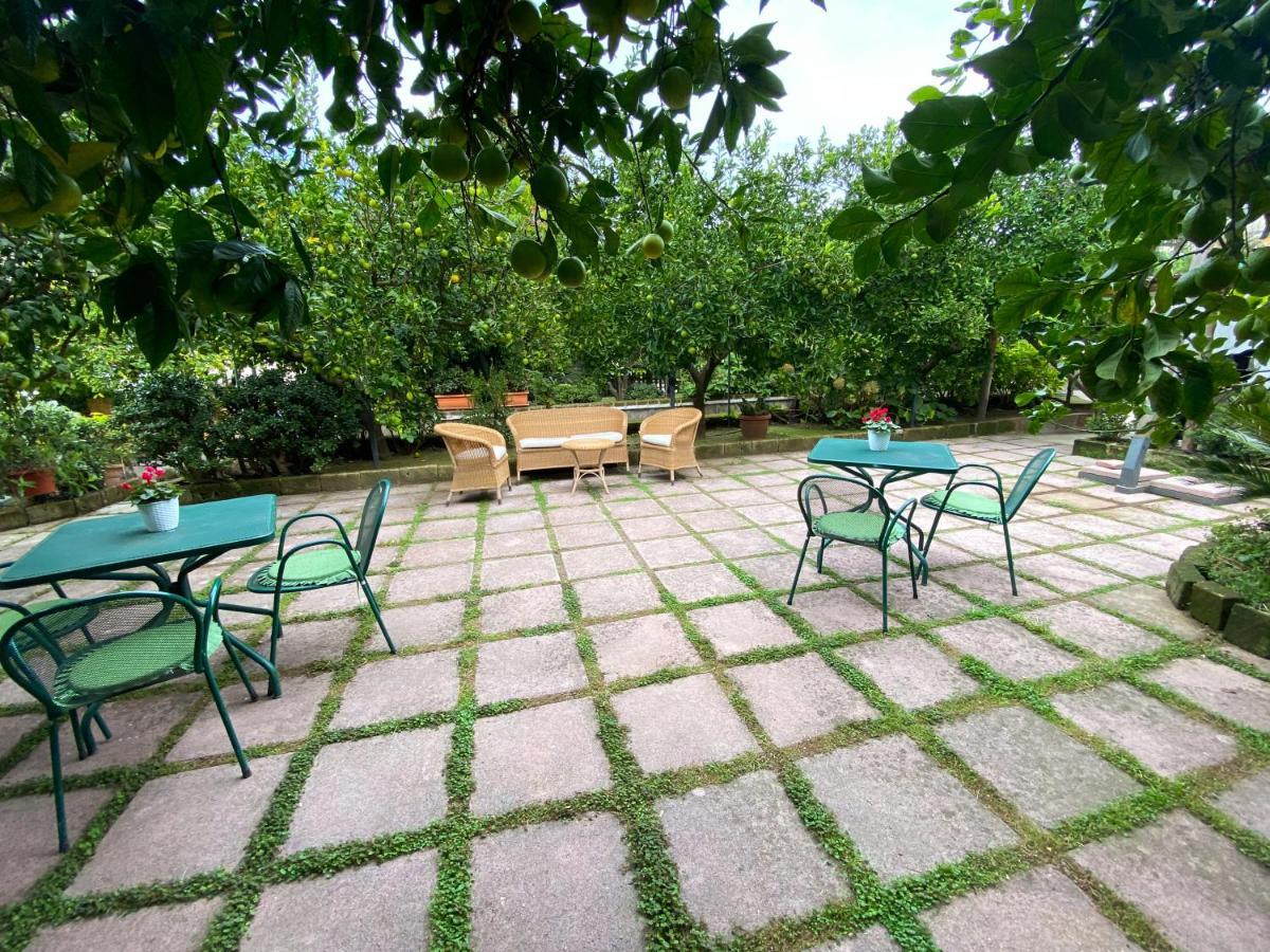 Il Glicine Hotell Sorrento Exteriör bild